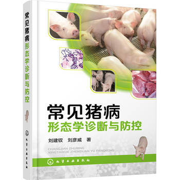 ��Ҋ(ji��n)�i���ΑB(t��i)�W(xu��)�\���c����