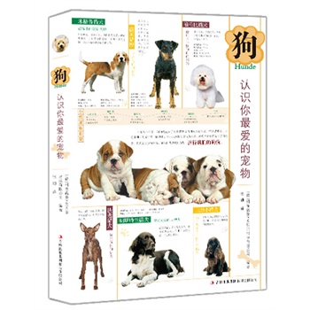 �����J(r��n)�R(sh��)����۵Č��