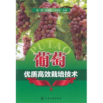 ���у�(y��u)�|(zh��)��Ч���༼�g(sh��)