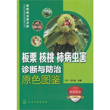 ���䲡�x���\���c����ԭɫ�D�b����--�����������������x���\���c����ԭɫ�D�b