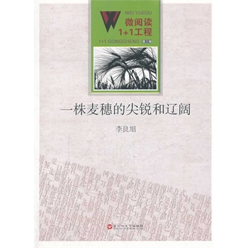 ΢��x1+1������һ������ļ��J���|�