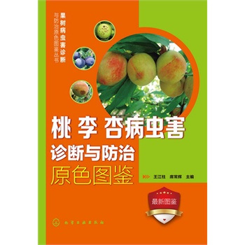 ����(sh��)���x(ch��ng)���\���c����ԭɫ�D�b����(sh��)--������Ӳ��x(ch��ng)���\���c����ԭɫ�D�b