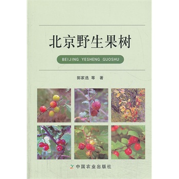 ����Ұ������