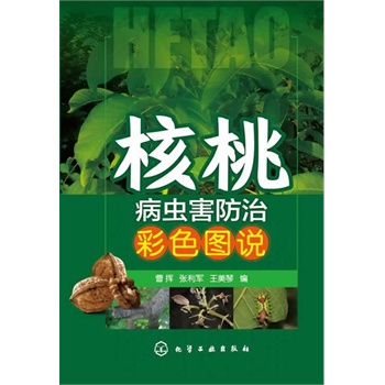 ���Ҳ��x�����β�ɫ�D�f