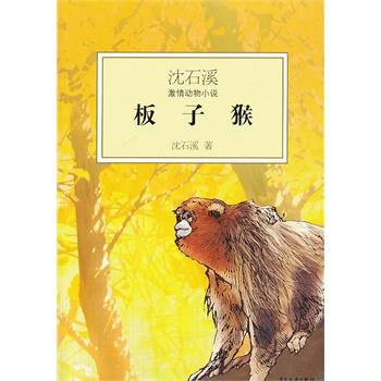 ��ʯϪ�������С�f--���Ӻ�