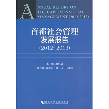 �׶���������l(f��)չ��棨2012-2013��