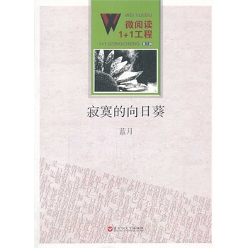 ΢��x1+1��������į�����տ�