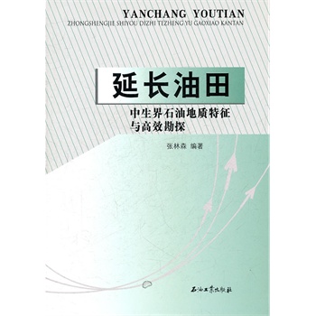 ���L(zh��ng)����������ʯ�͵�ַ�����c��Ч��̽