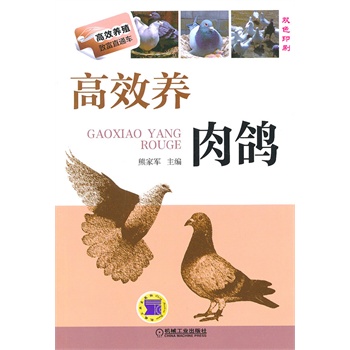 ��Ч�B(y��ng)����(��Ч�B(y��ng)ֳ�¸�ֱͨ܇)