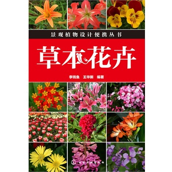 ���^ֲ���O(sh��)Ӌ(j��)��y����--�ݱ�����