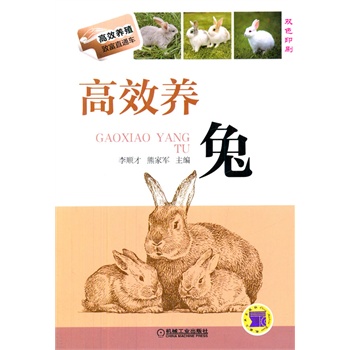 ��Ч�B(y��ng)��(��Ч�B(y��ng)ֳ�¸�ֱͨ܇)