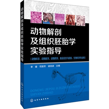 ������ʼ��M����̥�W���ָ��