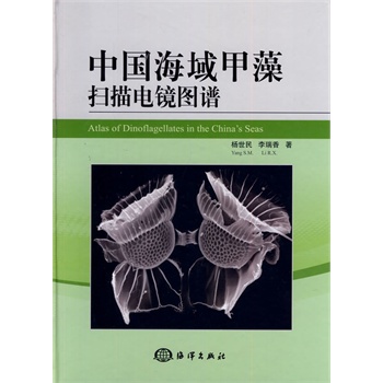 ���Ї�������������R�D�V��