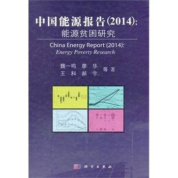 中國能源報告(2014):能源貧困研究
