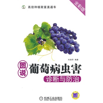 �D�f(shu��)���Ѳ��x(ch��ng)���\���c����(��Ч�Nֲ�¸�ֱͨ܇(ch��))