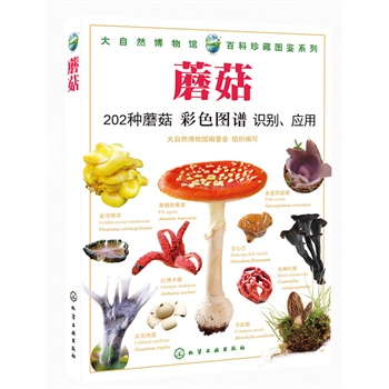 ����Ȼ�����^���ٿ���؈D�bϵ��--Ģ��