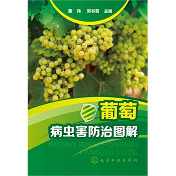 ���Ѳ��x�����ΈD��