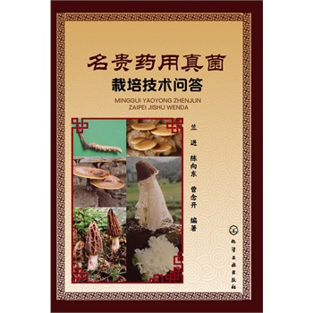 ���Fˎ��������༼�g(sh��)��(w��n)��