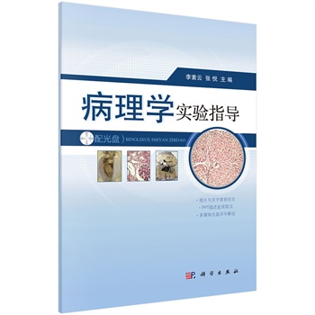 ����W���ָ��