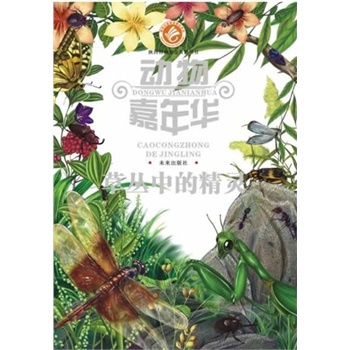 ��������A���݅��еľ��`