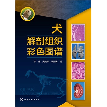 Ȯ���ʽM����ɫ�D�V