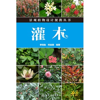 ���^ֲ���O(sh��)Ӌ(j��)��y����--��ľ