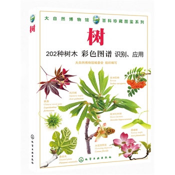 ����Ȼ�����^���ٿ���؈D�bϵ��--��