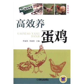 ��Ч�B(y��ng)���u����Ч�B(y��ng)ֳ�¸�ֱͨ܇��