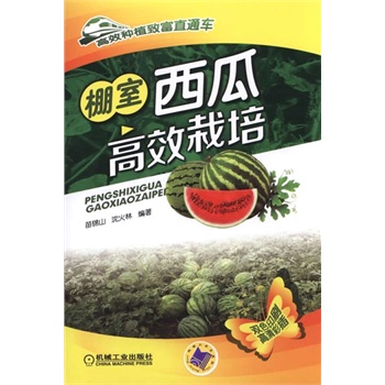 �������ϸ�Ч���ࣨ��Ч�Nֲ�¸�ֱͨ܇��