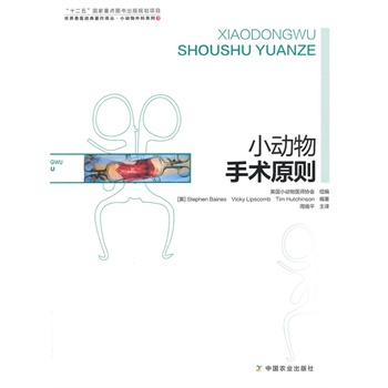 С��(d��ng)�����g(sh��)ԭ�t