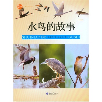 ˮ�B�Ĺ���