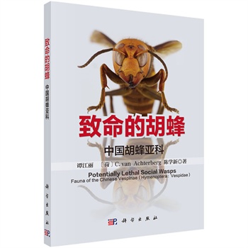 �����ĺ��䣺�Ї����䁆��