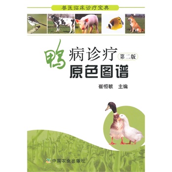 �����\��ԭɫ�D�V �ڶ��棨��