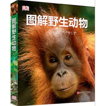 ȫ�� �D��Ұ������