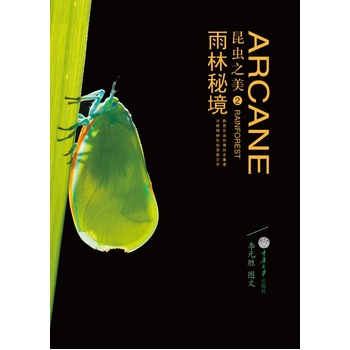 ���x֮��2�������ؾ�