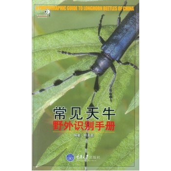 ��Ҋ��ţҰ���R�e�փ�