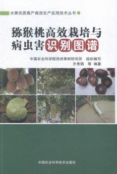 �J���Ҹ�Ч�����c���x(ch��ng)���R(sh��)�e�D�V