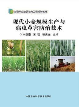 �F(xi��n)��С��Ҏ(gu��)ģ���a(ch��n)�c���x�ݺ����μ��g