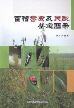 ��ޣ���x���씳�b���D��