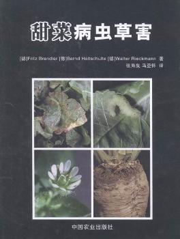 ��˲��x�ݺ�