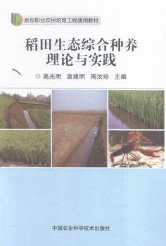 �������B(t��i)�C�ϷN�B(y��ng)��Փ�c���`