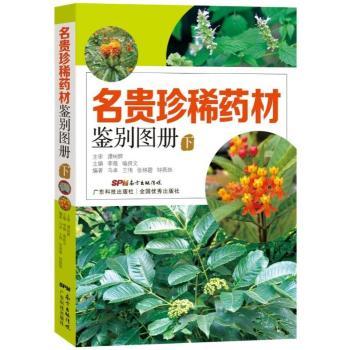 ���F��ϡˎ���b�e�D��:��