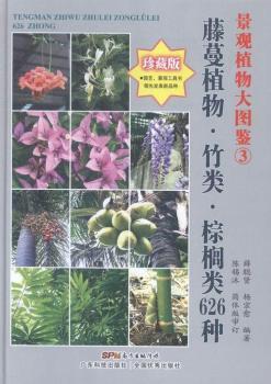 ����ֲ��.���.�ؙ��626�N-���^ֲ���D�b-3