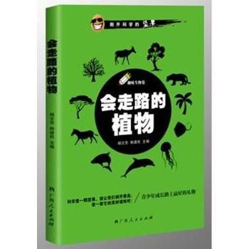 ����·��ֲ��