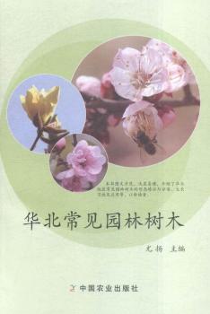 �A����Ҋ�@�֘�ľ