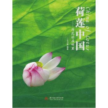 ��ɏ�Ї�(gu��):�ɻ���������