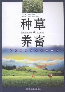 �N���B(y��ng)��-�����������Ì��ü��g