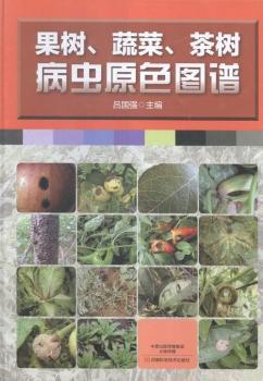 �������߲ˡ���䲡�xԭɫ�D�V