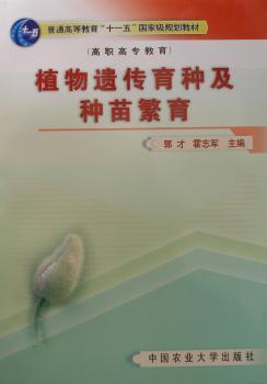 ֲ���z�����N���N�緱��