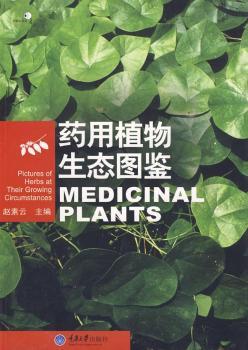 ˎ��ֲ�����B(t��i)�D�b